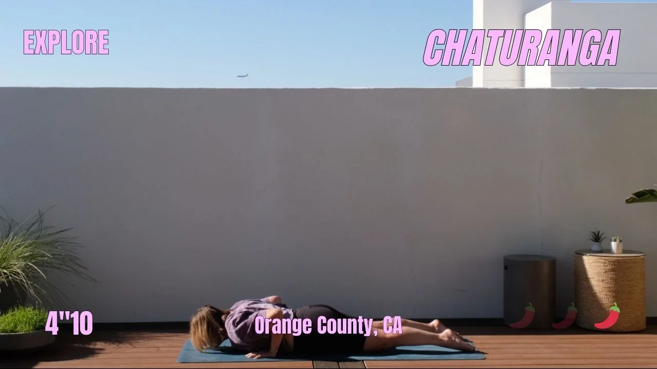 Apprendre Chaturanga